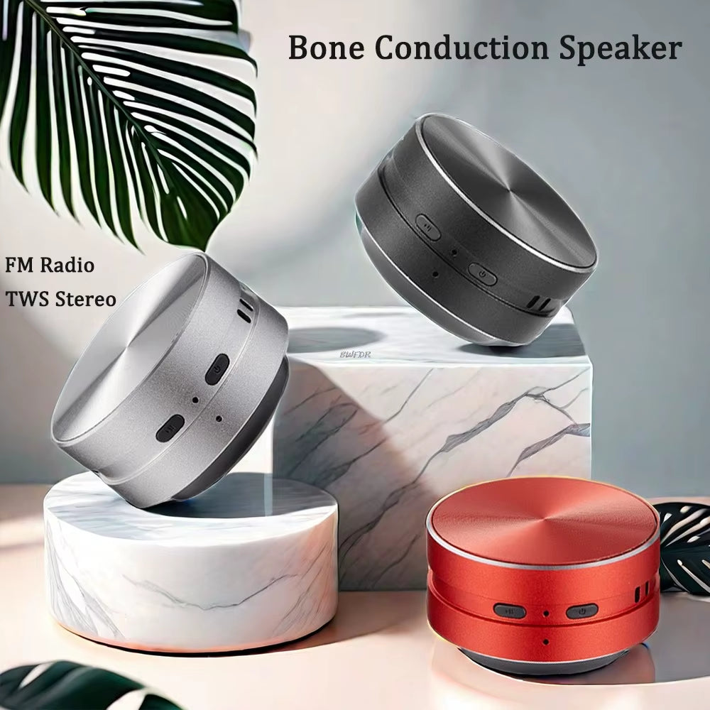 Bone Conduction Speaker Wireless Bluetooth-Compatible TWS Stereo Dual Sound Audio Box Mini Humbird Speaker with Call FM Radio