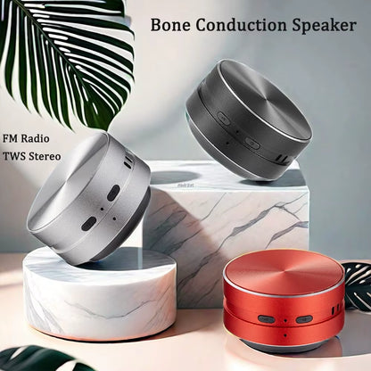 Bone Conduction Speaker Wireless Bluetooth-Compatible TWS Stereo Dual Sound Audio Box Mini Humbird Speaker with Call FM Radio